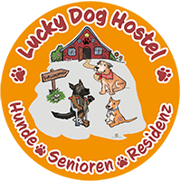 LUCKY DOG HOSTEL