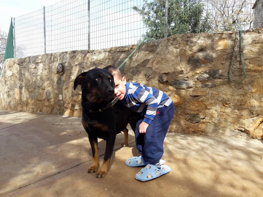 Agapi and her puppies